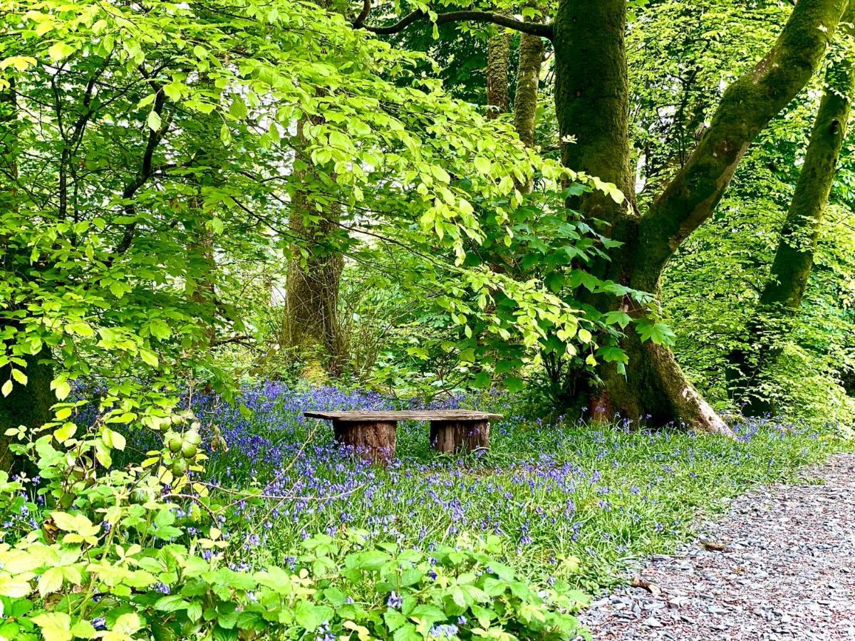 Snowdonia Holidays Caravan Hire - Aberdunant Park - 34 The Green Prenteg Extérieur photo